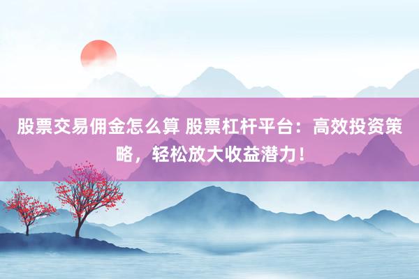 股票交易佣金怎么算 股票杠杆平台：高效投资策略，轻松放大收益潜力！