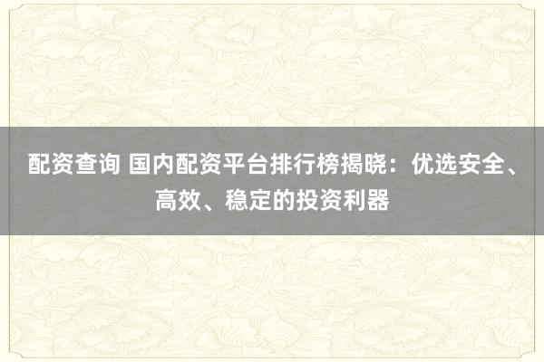 配资查询 国内配资平台排行榜揭晓：优选安全、高效、稳定的投资利器