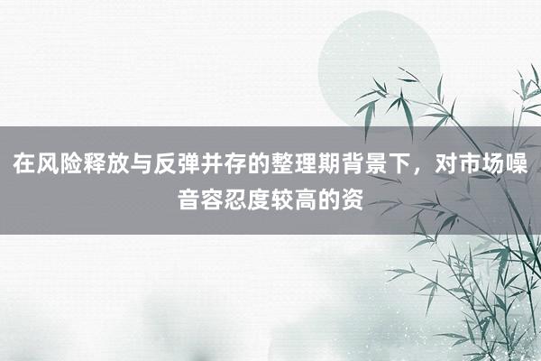 在风险释放与反弹并存的整理期背景下，对市场噪音容忍度较高的资