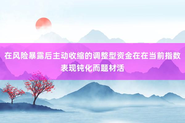 在风险暴露后主动收缩的调整型资金在在当前指数表现钝化而题材活
