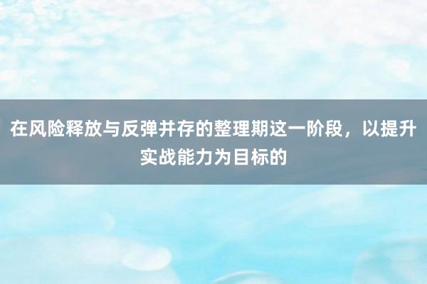 在风险释放与反弹并存的整理期这一阶段，以提升实战能力为目标的