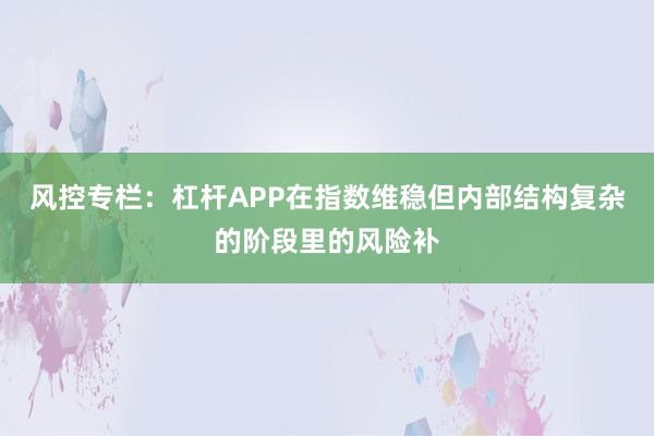 风控专栏：杠杆APP在指数维稳但内部结构复杂的阶段里的风险补